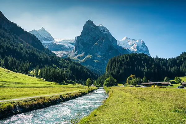 Umzugsspedition Zürich für Privat und Firmen